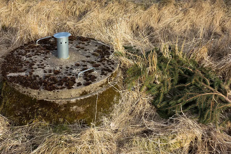Round moss-spotted concrete septic tank lid with two metal lifting handles and a short vent pipe, set among dry tan grass beside a fallen evergreen branch
